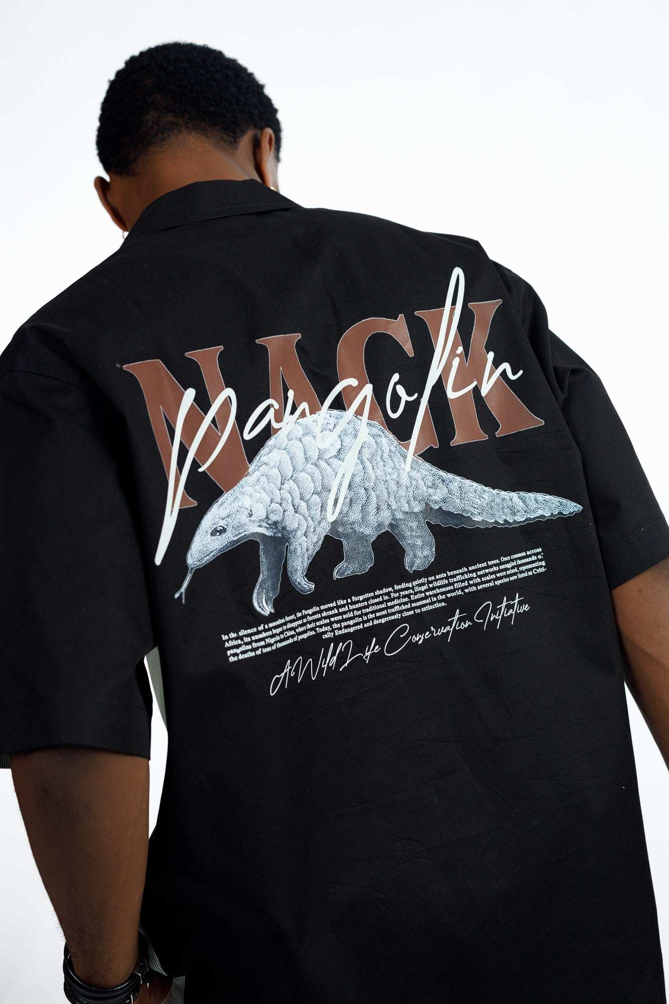 PANGOLIN 2PCS