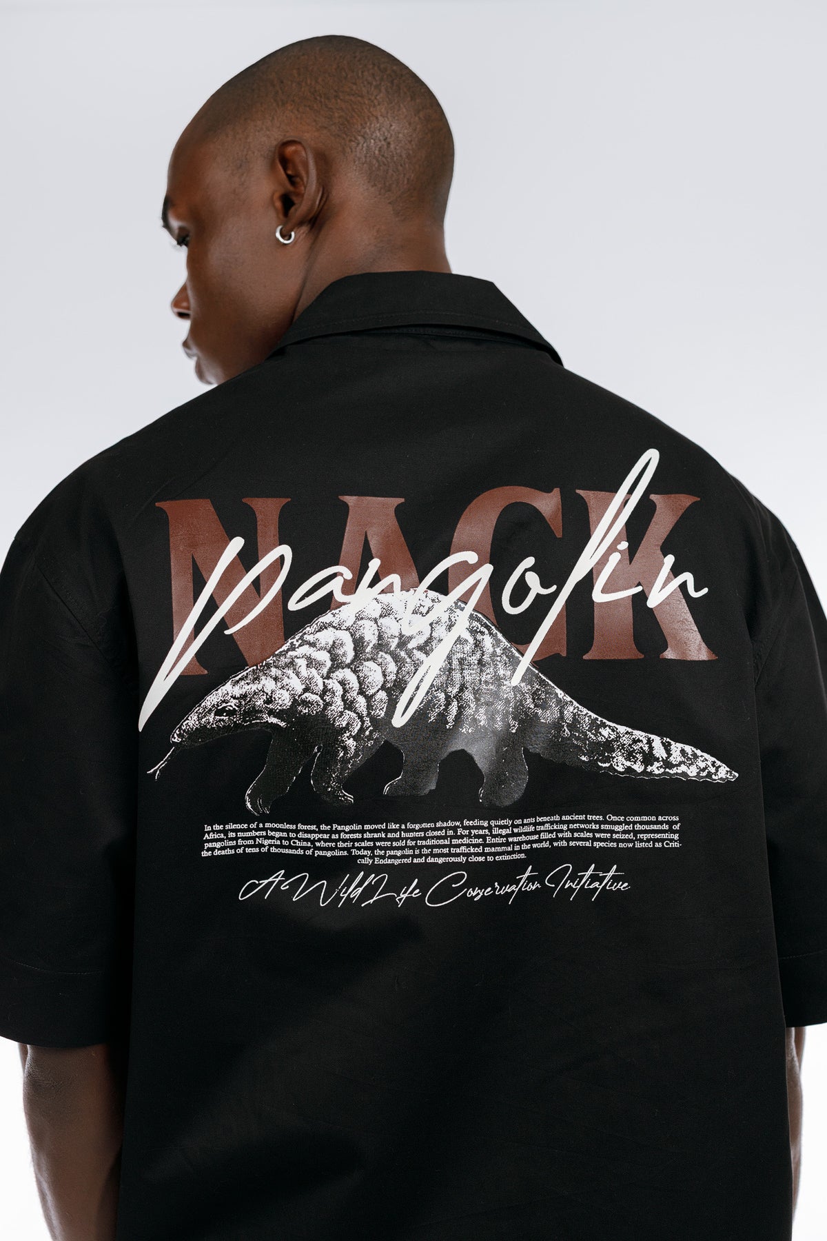 PANGOLIN 2PCS